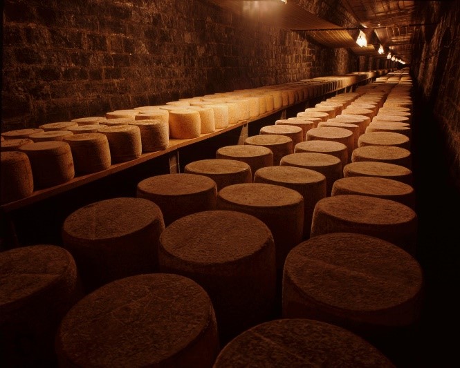 : affinage en tunnel de fromage