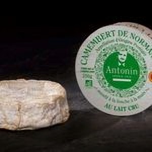 Camembert bio AOP Antonin 1919